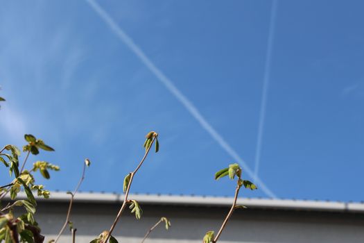 c0134734_18031516.jpg