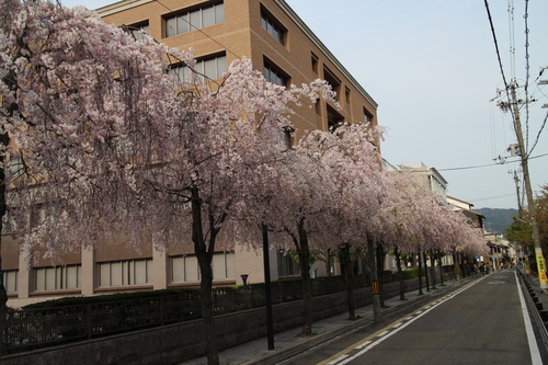 d0033734_21514126.jpg