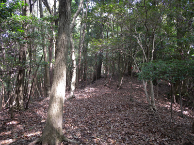 e0272335_20215128.jpg