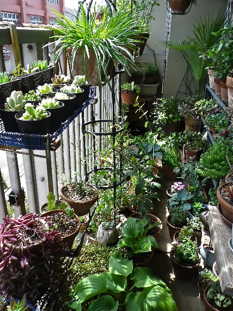 b0027736_1414151.jpg
