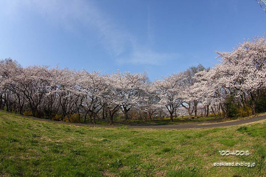 c0080036_23361647.jpg
