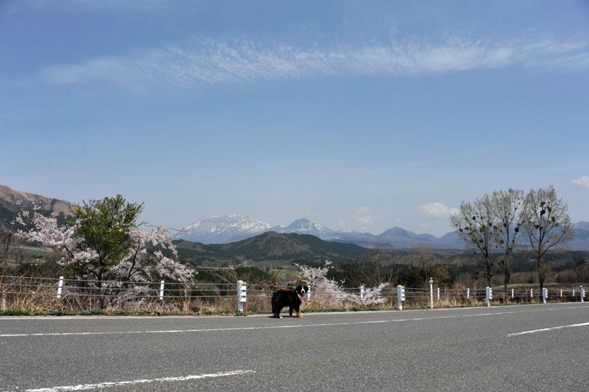 b0075541_19483198.jpg