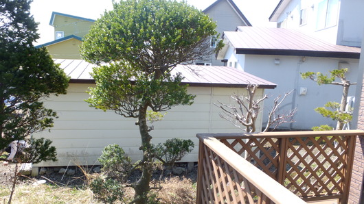 c0153444_70718.jpg