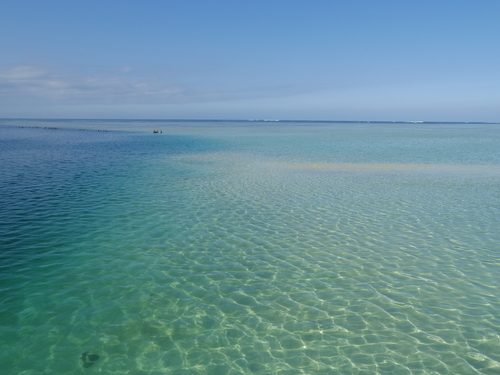 f0039446_10125519.jpg