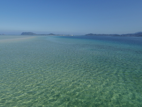 f0039446_1033095.jpg