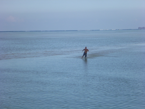 f0039446_108147.jpg