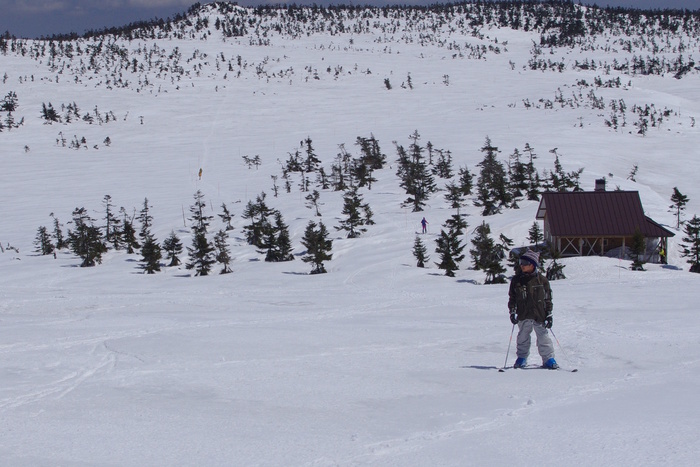 c0077847_1557875.jpg