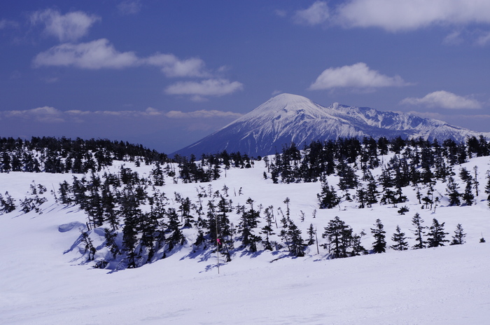 c0077847_1802523.jpg
