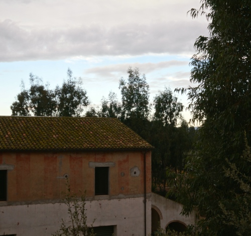 c0003150_23523864.jpg