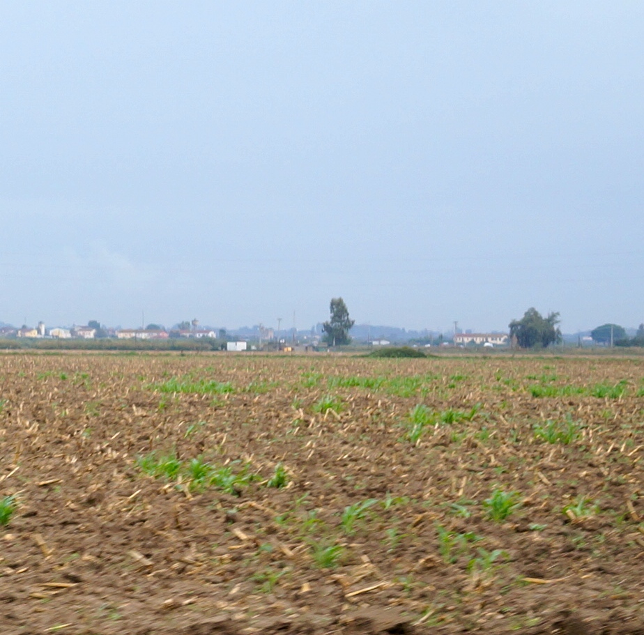 c0003150_23535245.jpg