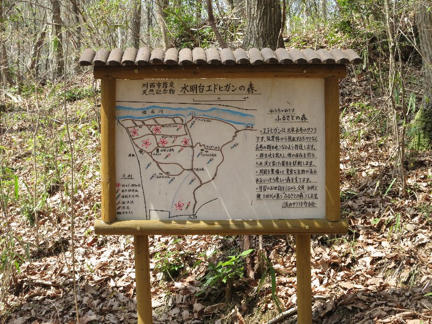 d0048750_20353116.jpg