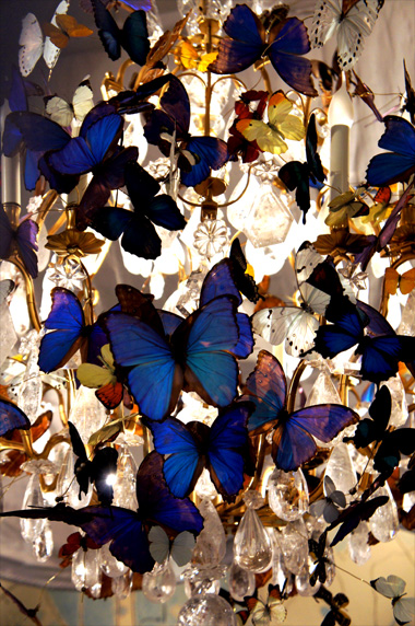 f0028463_21294580.jpg