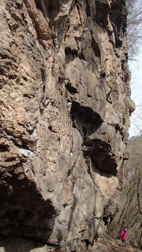 b0050067_1952366.jpg