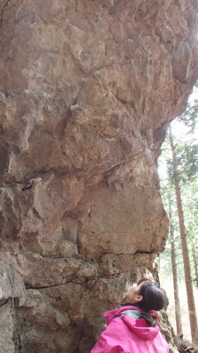 b0050067_19523665.jpg