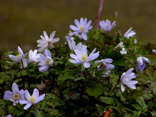 d0084473_21175684.jpg