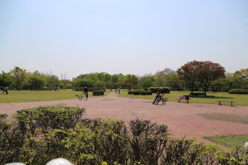 f0310873_18093331.jpg