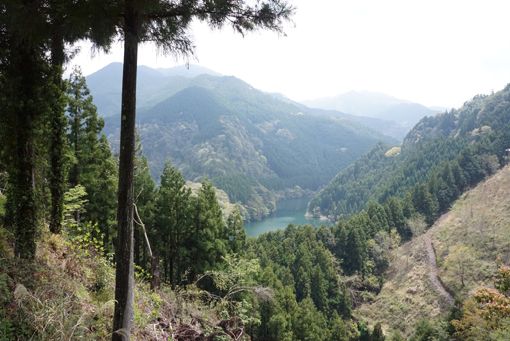 b0139477_14164389.jpg