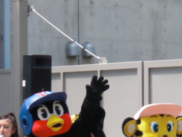 e0039783_2039227.jpg