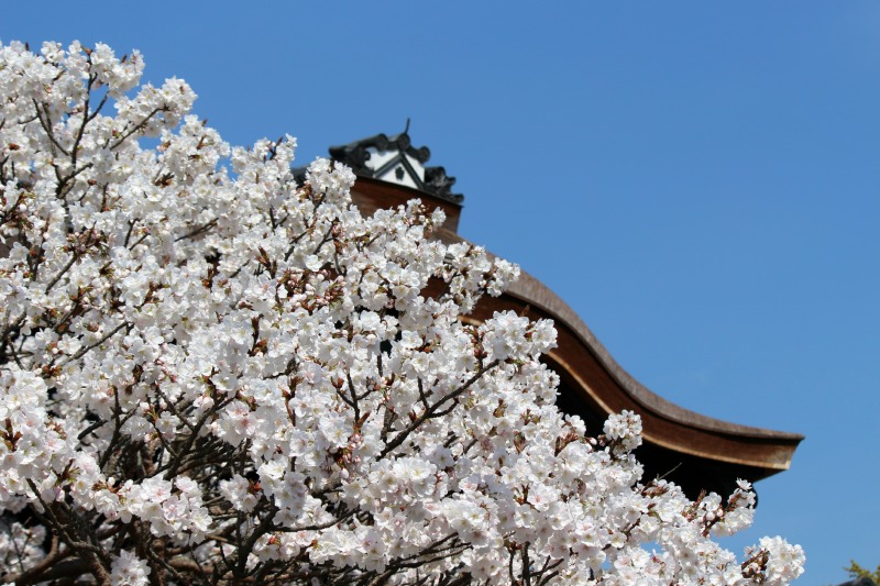 a0127090_20392346.jpg
