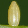 b0194593_20501473.jpg