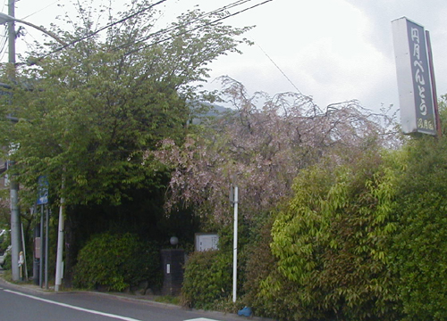 d0053294_113675.jpg
