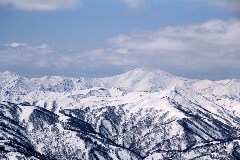 e0137200_17233885.jpg