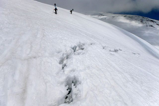 e0137200_1728594.jpg