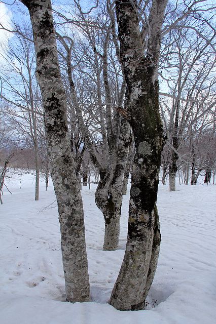 e0137200_17315989.jpg