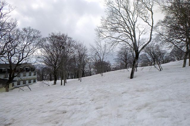e0137200_173185.jpg