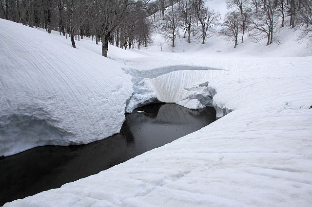 e0137200_17321215.jpg