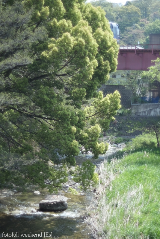 b0138101_10412549.jpg