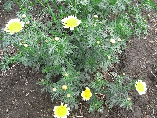 f0187402_2247343.jpg