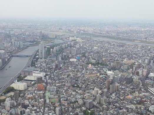 f0097008_23221753.jpg
