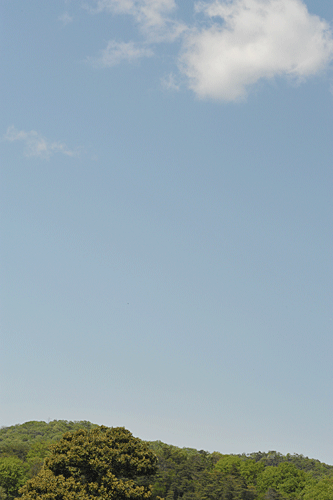 a0278809_12453181.gif
