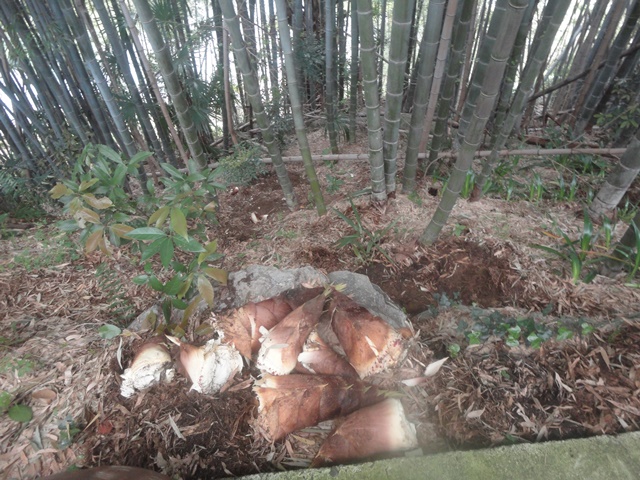 f0231709_20535672.jpg