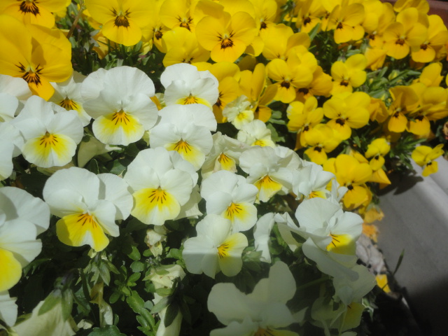 f0231709_8505321.jpg