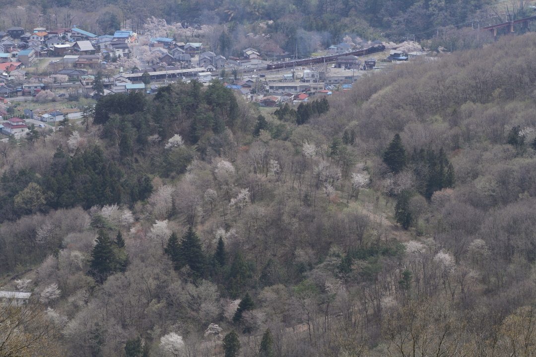 b0190710_22581618.jpg