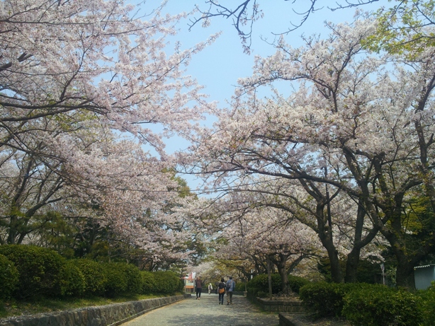 e0033713_11165672.jpg