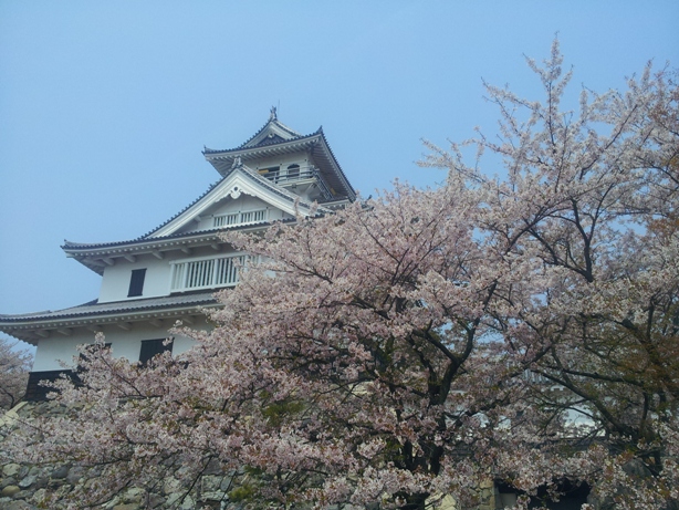 e0033713_11170283.jpg