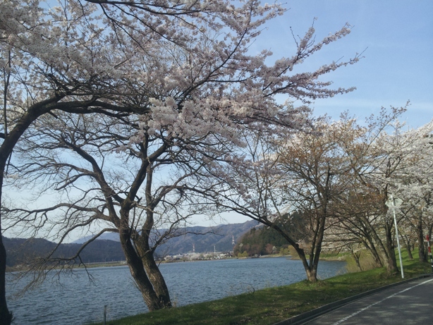 e0033713_11345714.jpg