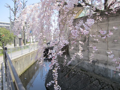 e0041217_1111650.jpg