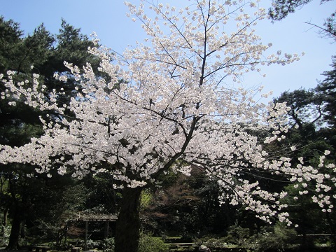 e0041217_14594691.jpg