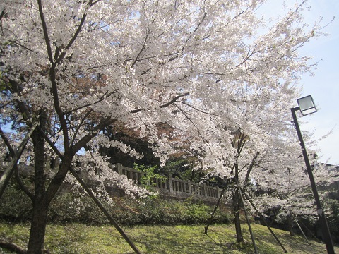 e0041217_1523140.jpg