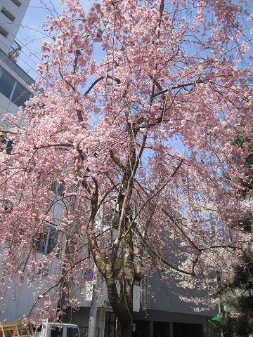 e0041217_15321100.jpg