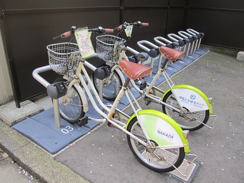 e0041217_1541585.jpg