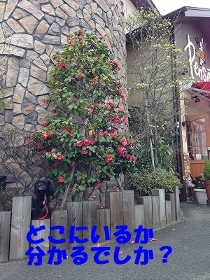 f0326925_22452399.jpg