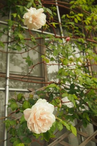 f0243731_13312034.jpg