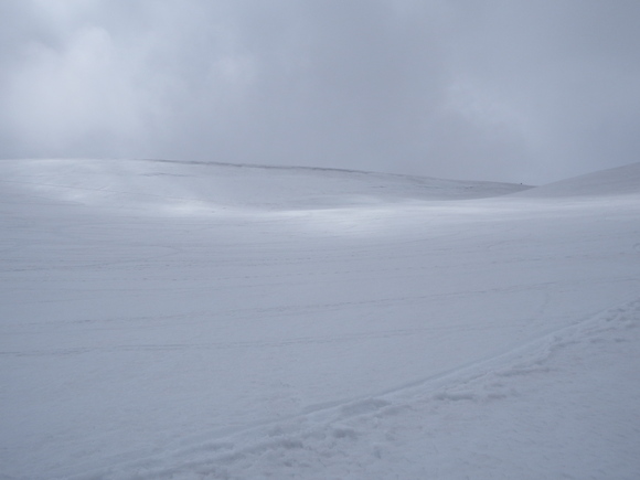 f0118332_2037149.jpg