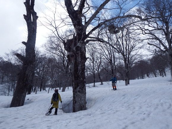 f0118332_204043.jpg