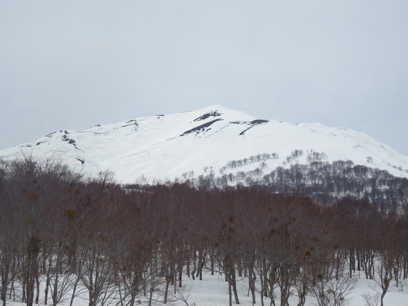 f0118332_22591169.jpg